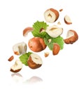 Pieces of tasty hazelnuts falling on white background Royalty Free Stock Photo