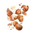 Pieces of tasty hazelnuts falling on white background Royalty Free Stock Photo