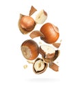 Pieces of tasty hazelnuts falling on white background Royalty Free Stock Photo
