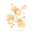 Pieces of tasty hazelnuts falling on white background Royalty Free Stock Photo