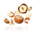 Pieces of tasty hazelnuts falling on white background Royalty Free Stock Photo