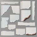 Pieces of torn white lined notebook paper square line rag white and burned page vector illustration. Royalty Free Stock Photo