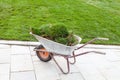 Pieces of turf on a wheelbarrow near green lawn