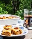 Pieces of Turkish honey baklava, a green garden background