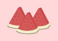 Pieces of fress watermelon vector Royalty Free Stock Photo