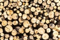 Pieces of wood after cutting Royalty Free Stock Photo