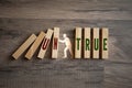 Pieces of wood with the words true and untrue on wooden background