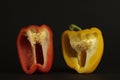 Pieces of yellow and red peppers on a black background Royalty Free Stock Photo