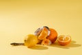 Pied ball python crawls among citruses. Snake with orange and lemon. Exotic pet cute studio shot Royalty Free Stock Photo