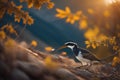 Pied cormorant on a rock in the autumn forest. generative ai