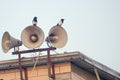 Pied magpie and tweeter