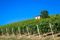 Piedmont hills in Italy with scenic countryside, vineyard field and blue sky Royalty Free Stock Photo