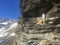 Piedmont mountains with religious sculpture