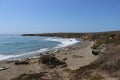 The Piedras Blancas Elephant seals Mirounga angustirostris