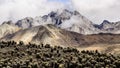 Piedras Blancas 2 Royalty Free Stock Photo