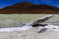 Piedras Rojas, Atacama, chile
