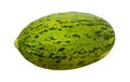 Piel de Sapo isolated with clipping path Royalty Free Stock Photo