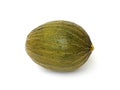 Piel de sapo melon