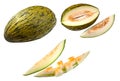 Piel de Sapo Melon Royalty Free Stock Photo