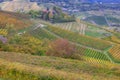 Piemonte vineyards, Langhe, Italy.