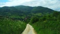 Pieniny Mountain, forest