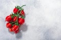 Piennolo del Vesuvio Italian heirloom tomatoes in clusters on the vine atop light grey textured backdrop w/ copy space, top view