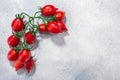 Piennolo del Vesuvio Italian heirloom tomatoes in clusters on the vine atop light grey textured backdrop w/ copy space, top view Royalty Free Stock Photo