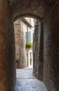 Pienza (Siena)