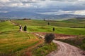 Pienza, Siena, Tuscany, Italy: landscape of the hills where the movie The Gladiator was filmed Royalty Free Stock Photo