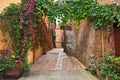 Pienza, Siena, Tuscany, Italy: picturesque alley in the old town