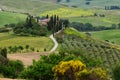 Beautiful landscape of Tuscany in Italy, Podere Belvedere in Val d Orcia near Pienza with cypress, Royalty Free Stock Photo