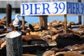 Pier 39, San Francisco