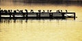 lake viewing, sunset viewing, wharf viewing,pier viewing,bird silhouette picture