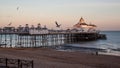 Pier, breakwater and gulls in Eastbourne. Royalty Free Stock Photo