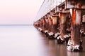 Pier at Dawn Royalty Free Stock Photo