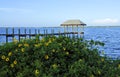 Pier Flowers