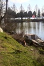 Pier in an inlet of a lake on a sunny day Royalty Free Stock Photo