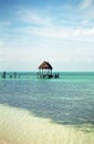 Pier at Isla Contoy Royalty Free Stock Photo
