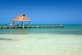 Pier on the Isla Contoy in Mexico Royalty Free Stock Photo