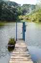 Pier with opened door toward lake and pine forest like metaphor