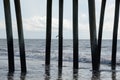 The pier pilings invite all sorts of air and ocean-going animals