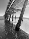 Pier pillars on the beach next to a sea Royalty Free Stock Photo