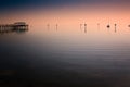 Pier in Safety Harbor, Florida