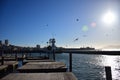 Pier 39 in San Francisco during a Sunny Cloudless Day with Seals and Seagulls