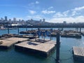 Pier 39 Sea Lions, San Francisco