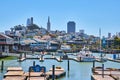 Pier 39 with sea lions sunbathing and distant Coit Tower and San Francisco skyscrapers Royalty Free Stock Photo