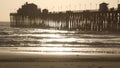 Pier silhouette at sunset, California USA, Oceanside. Ocean tropical beach. Seagull bird near wave Royalty Free Stock Photo