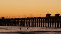 Pier silhouette at sunset, California USA, Oceanside. Surfing resort, ocean tropical beach. Surfer waiting for wave. Royalty Free Stock Photo