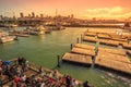 Pier 39 skyline Royalty Free Stock Photo