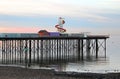 Pier structure at low tide reflections Royalty Free Stock Photo